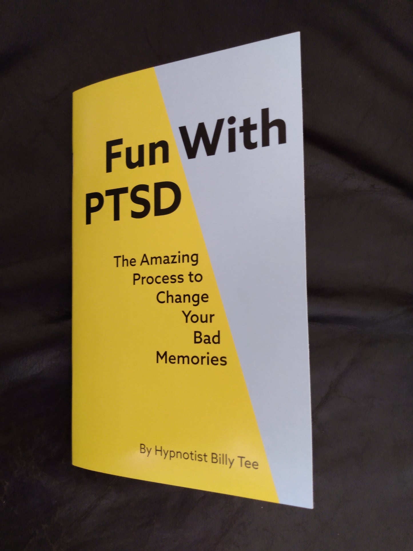 Fun With PTSD Book